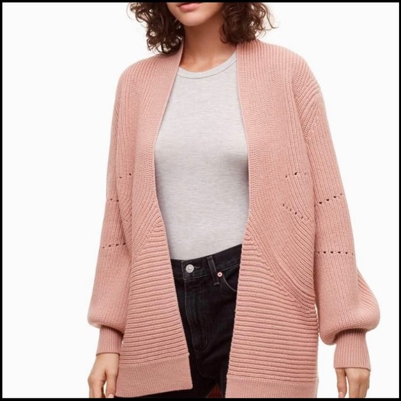 SOLD Aritzia Wilfred Darcy merino cardigan
